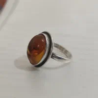 عتیقه کهربا با فسیل جانوران ماقبل تاریخ|کلکسیون اشیاء عتیقه|بوکان, |دیوار