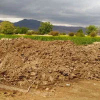 کود حیوانی گاوی و گوسفندی