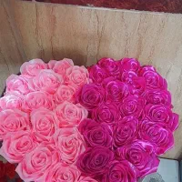 گل رز های قشنگ|گل و گیاه طبیعی|مشگین شهر, |دیوار