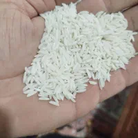 برنج هاشمی اصل درجه یک|خوردنی و آشامیدنی|میاندوآب, |دیوار