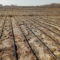 نصب نوارتیپ