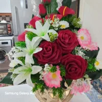 گل خواستگاری و نبات