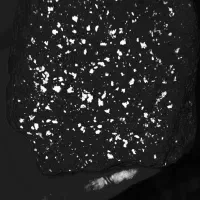 یک عدد شهاب سنگ با جذب آهنربا به فروش میرسد