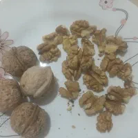 گردو|خوردنی و آشامیدنی|چناران, |دیوار