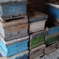 کندوی زنبور عسل