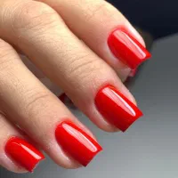 کلاس رفع اشکال یکروزه ناخن|خدمات آموزشی|رشت, کاکتوس|دیوار