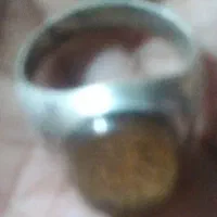 انگشتر شجر شمش