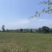 فروش-زمین-متراژ5000متر-فرصت-سرمایه-گذاری-کمربندی