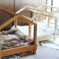 خانه سگ خانه گربه خانه پت حیوانات