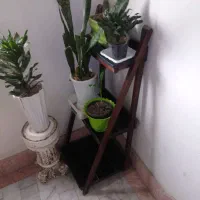 استند گل