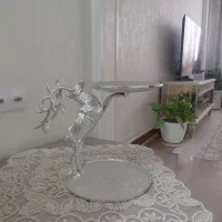 ظروف پذیرایی گوزن ایستاده