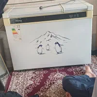 فریزر بدون برفک هایسنس