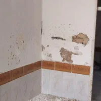 گچکاری گچ کاری لکه گیری روزمزدمتری کاشیکاری بنایی|خدمات پیشه و مهارت|مشهد, شهید مطهری|دیوار