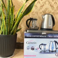 چایساز جنسیس خارجی