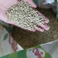 عدس محلی تمیز