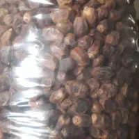 دو گرم سکه پارسیان فروش دو گرم سکه پارسیان ۲۰۰|جواهرات|بروجرد, |دیوار