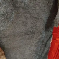 کاپشن|لباس|شاهرود, |دیوار