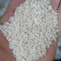 نیمدانه هاشمی درجه ۱