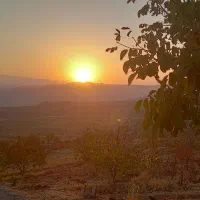 سرویس مدارس هستم