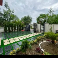 هم بازی پینپنگ