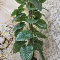 درختچه مصنوعی دو عدد