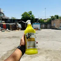 شامپو پامنت|مواد شوینده و دستمال کاغذی|تهران, نارمک|دیوار