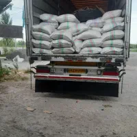 برنج ندا شیرودی فجر|خوردنی و آشامیدنی|آمل, |دیوار