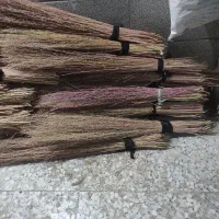جارو پیشی