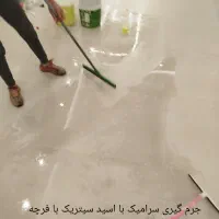 نظافتی تلاشگران همه جای شهر بالوازم وتجهیزات|خدمات نظافت|مشهد, سید رضی|دیوار