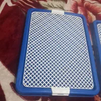 سینی ادرار سگ