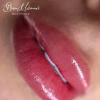 مدل شیدینگ لب و میکروبلیدینگ|خدمات آرایشگری و زیبایی|قم, شهرک قدس|دیوار