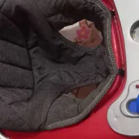 روروک|کالسکه و لوازم جانبی|بوشهر, |دیوار