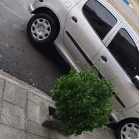 206|خودرو سواری و وانت|ارومیه, |دیوار