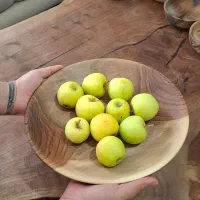 ظروفچوبی،ظرفچوبی،سرویس پذیرایی،بشقاب چوبی|صنایع دستی و سایر لوازم تزئینی|مشهد, عامل|دیوار