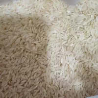 برنج دانه بلند شول آباد