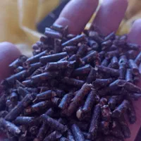 سبوس‌پوسته‌بادام‌زمینی‌وانارخشک‌شده