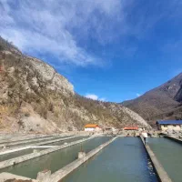 فروش-پرورش-ماهی-1-هکتاری-در-جاده-سه-هزار-تنکابن