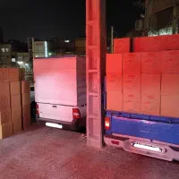 پخش و توزیع مستقیم تخم مرغ|خوردنی و آشامیدنی|مشهد, موسوی قوچانی|دیوار