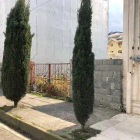 زمین سرولات پاسداران سند تکبرگ کاربری تجاری مسکونی