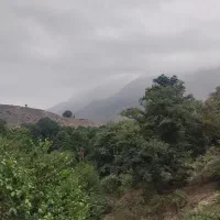 طراحی وگرافیست