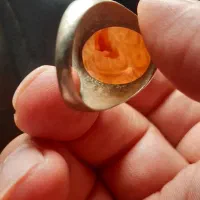 انکشتر|جواهرات|قزوین, |دیوار