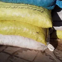 بلوط|حیوانات مزرعه|گچی, |دیوار