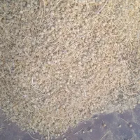 اسپند|خوردنی و آشامیدنی|سبزوار, اسلام آباد|دیوار