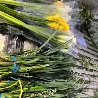 استخدام نیرو برای کار در پخش گل|استخدام خدمات فروشگاه و رستوران|شیراز, رکن‌آباد|دیوار