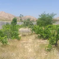 باغ-دو-هزارمتری-در-تره-بر-جعفری-مجموعه-زمزم