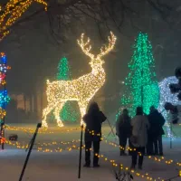 مجسمه 3متری گوزن