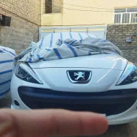 207پاناروما 1404