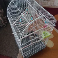 قفس زینتی بزرگ با وسایل کامل توضیحات بخونید|لوازم جانبی حیوانات|فولادشهر, A2|دیوار