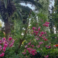 واحد رویایی در دهکده ساحلی (شهرکی اصیل )/تهاتر