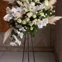 سفارش گل بلوار میرداد ، ظفر ، دیباجی و اختیاریه|گل و گیاه طبیعی|تهران, میرداماد|دیوار
